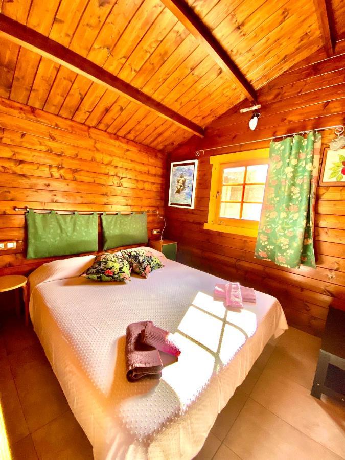 Canary Wild House 2 Carrizal Dış mekan fotoğraf
